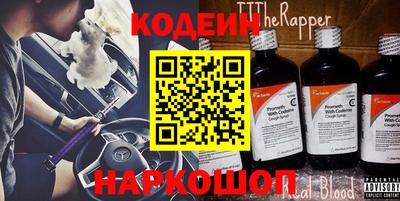 мдпв Кингисепп