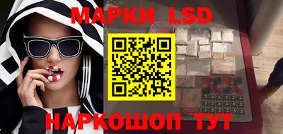 мдпв Кингисепп