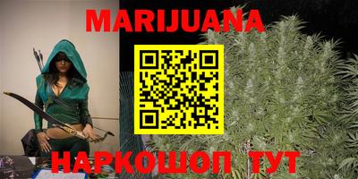 мдпв Кингисепп