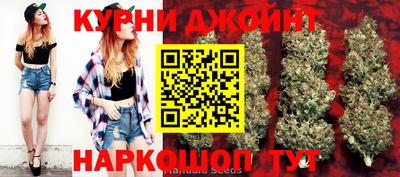 мдпв Кингисепп