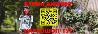 мдпв Кингисепп